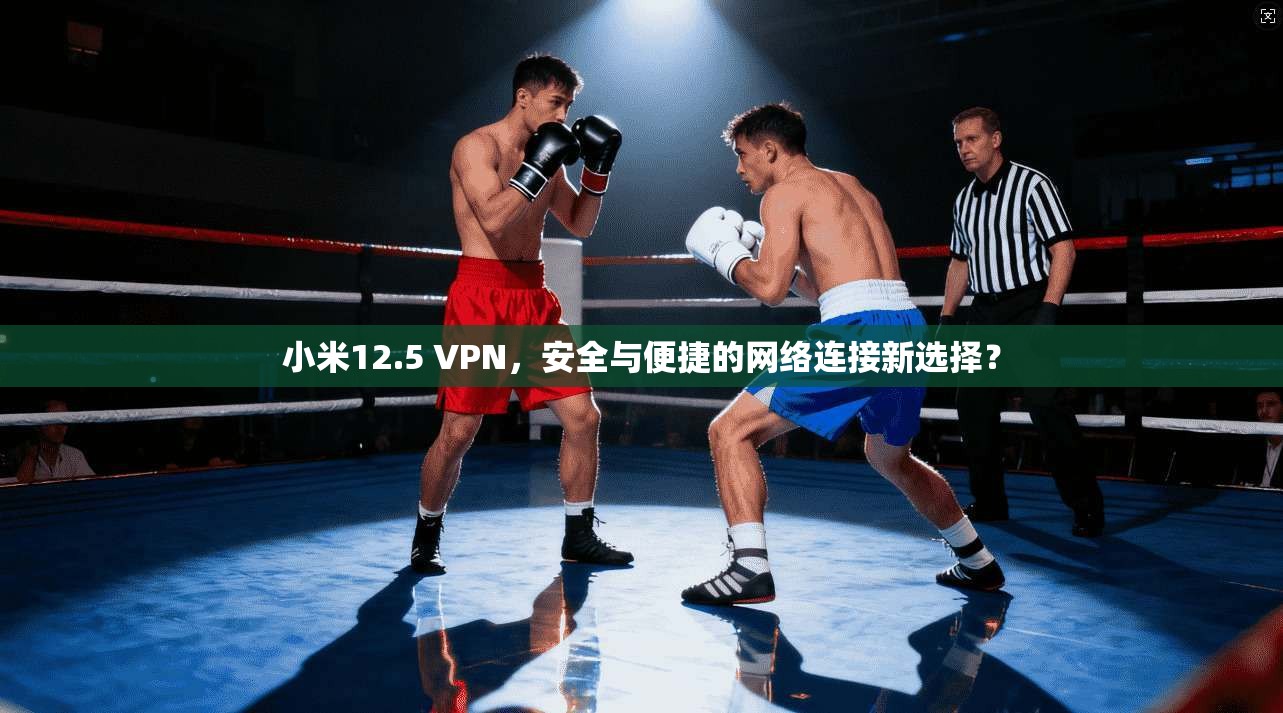 小米12.5 VPN，安全与便捷的网络连接新选择？