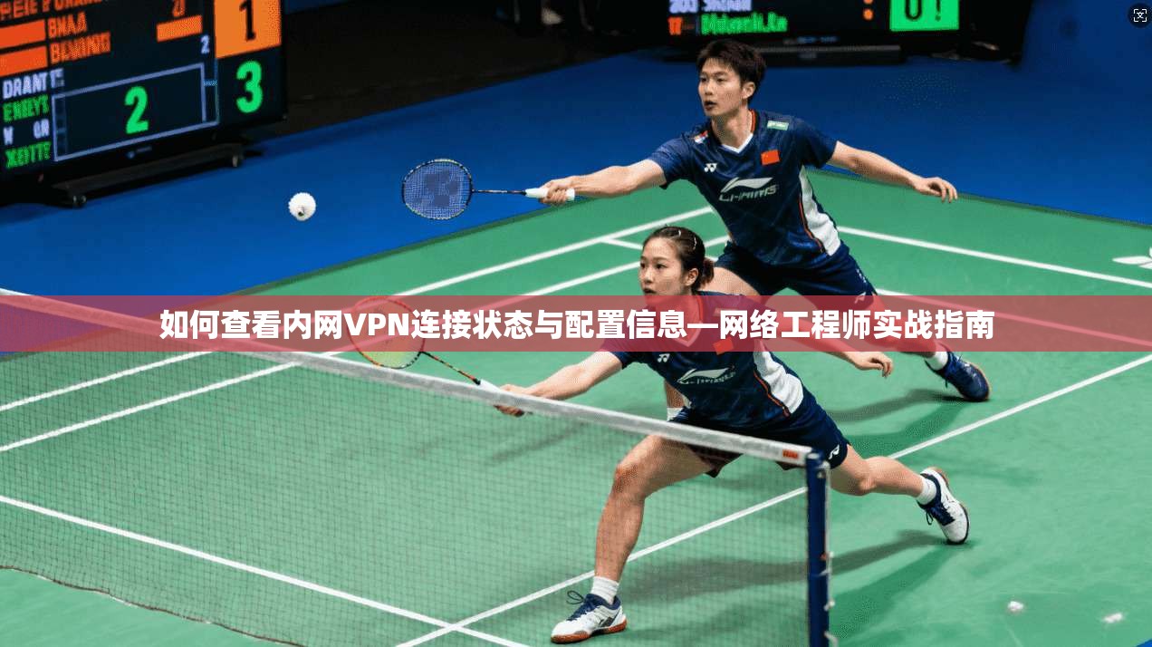 如何查看内网VPN连接状态与配置信息—网络工程师实战指南