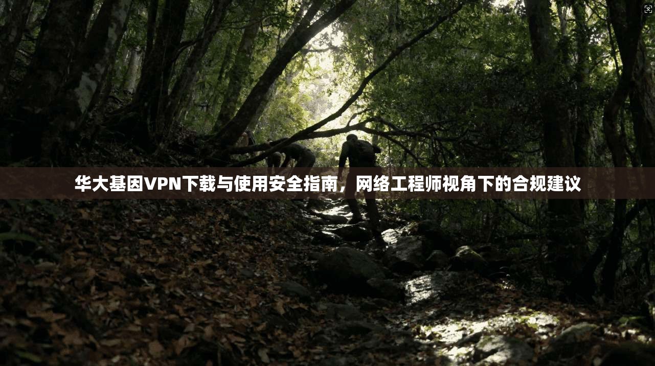 华大基因VPN下载与使用安全指南，网络工程师视角下的合规建议