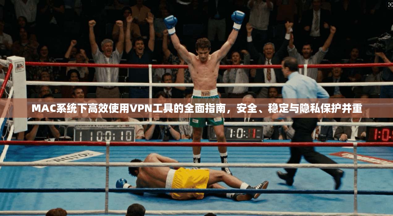 MAC系统下高效使用VPN工具的全面指南，安全、稳定与隐私保护并重