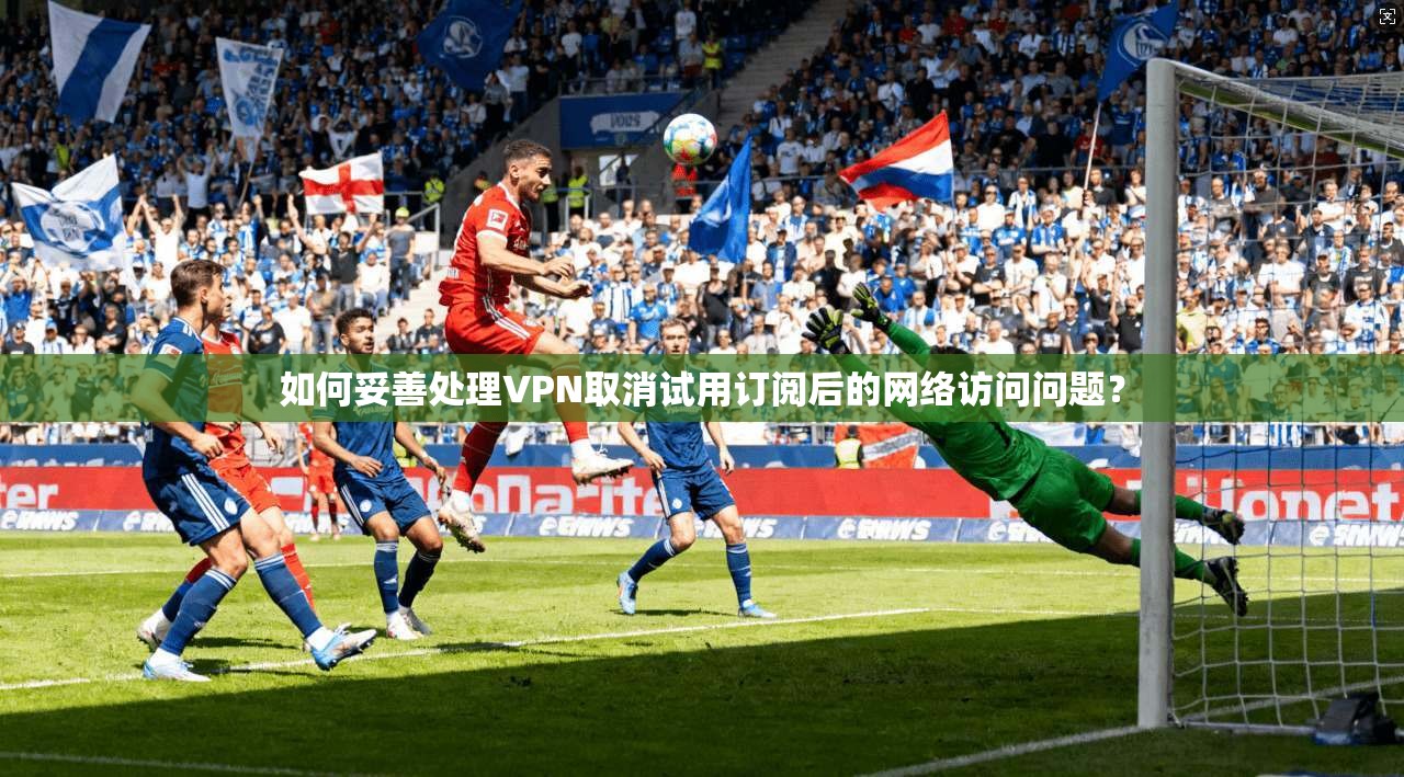如何妥善处理VPN取消试用订阅后的网络访问问题？