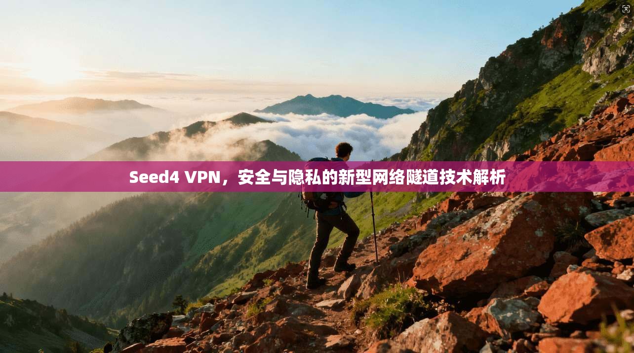 Seed4 VPN，安全与隐私的新型网络隧道技术解析