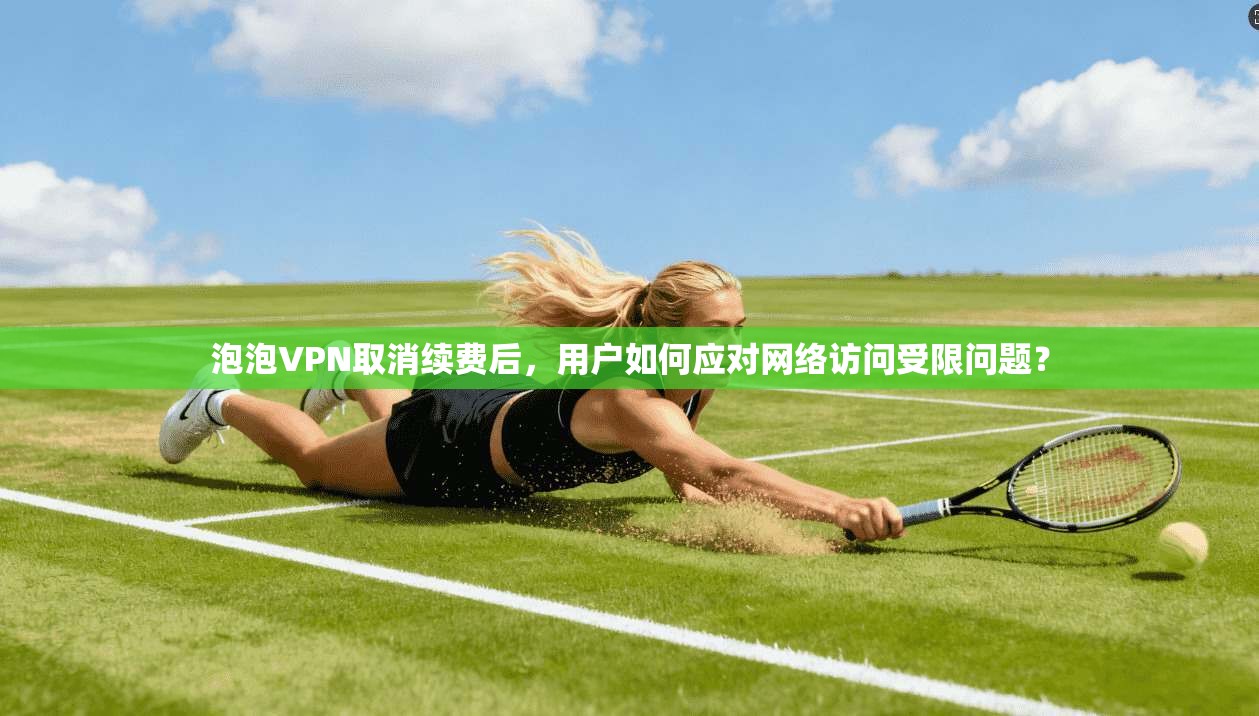 泡泡VPN取消续费后，用户如何应对网络访问受限问题？