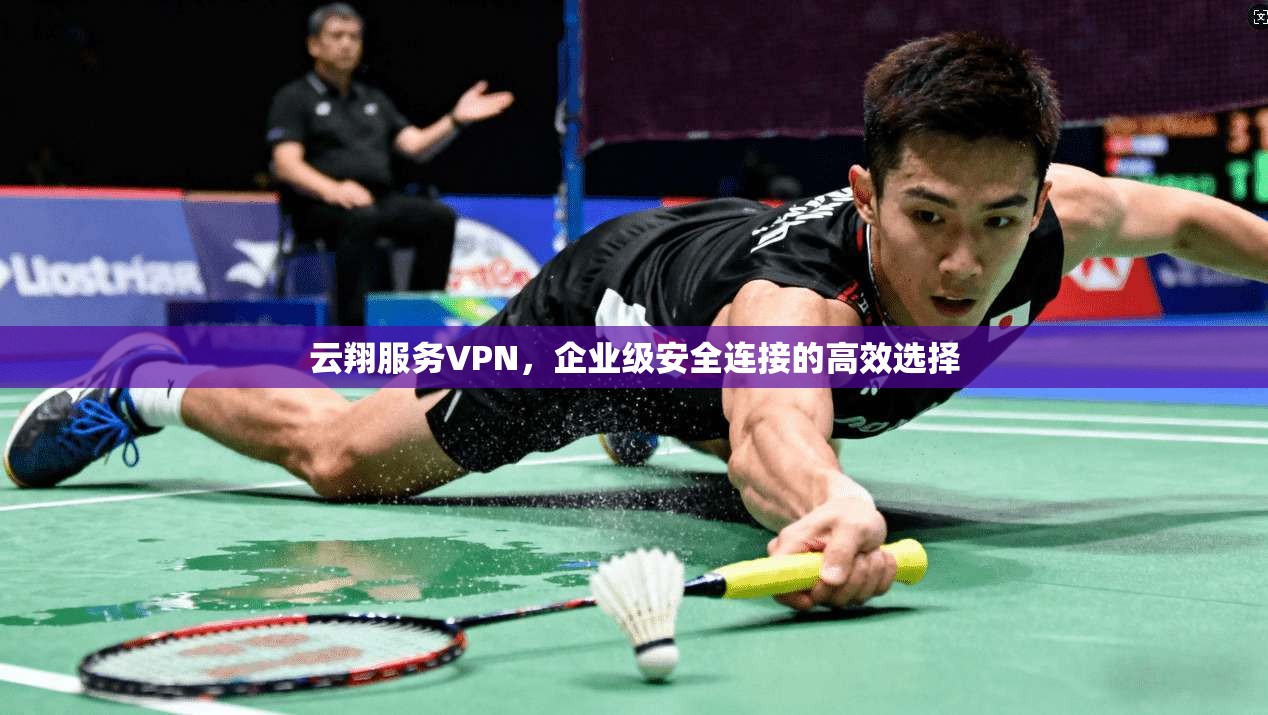 云翔服务VPN，企业级安全连接的高效选择