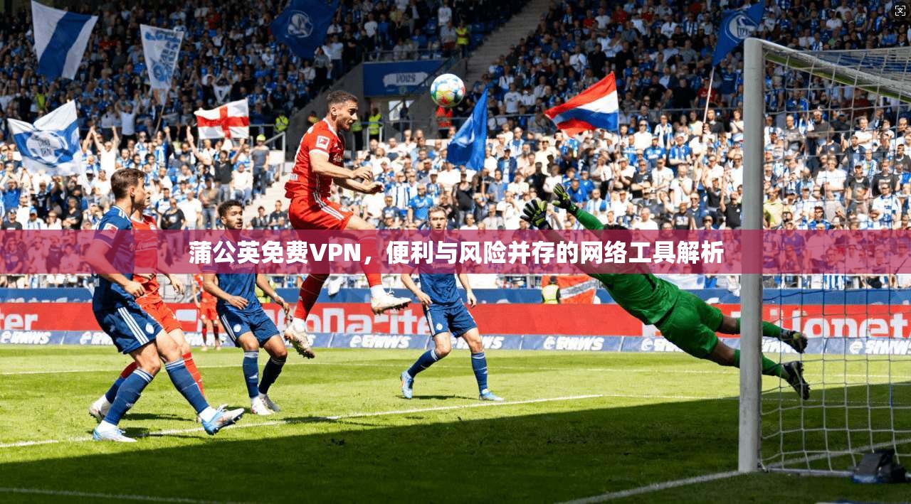 蒲公英免费VPN，便利与风险并存的网络工具解析