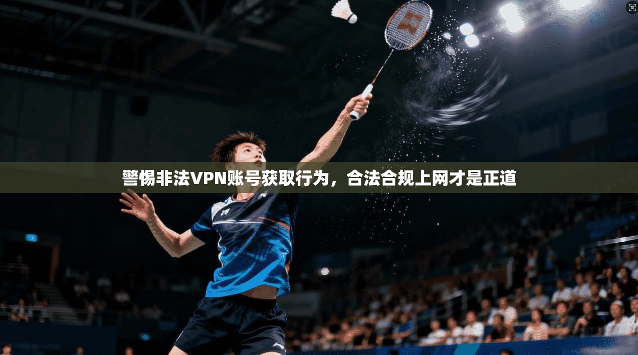 警惕非法VPN账号获取行为，合法合规上网才是正道