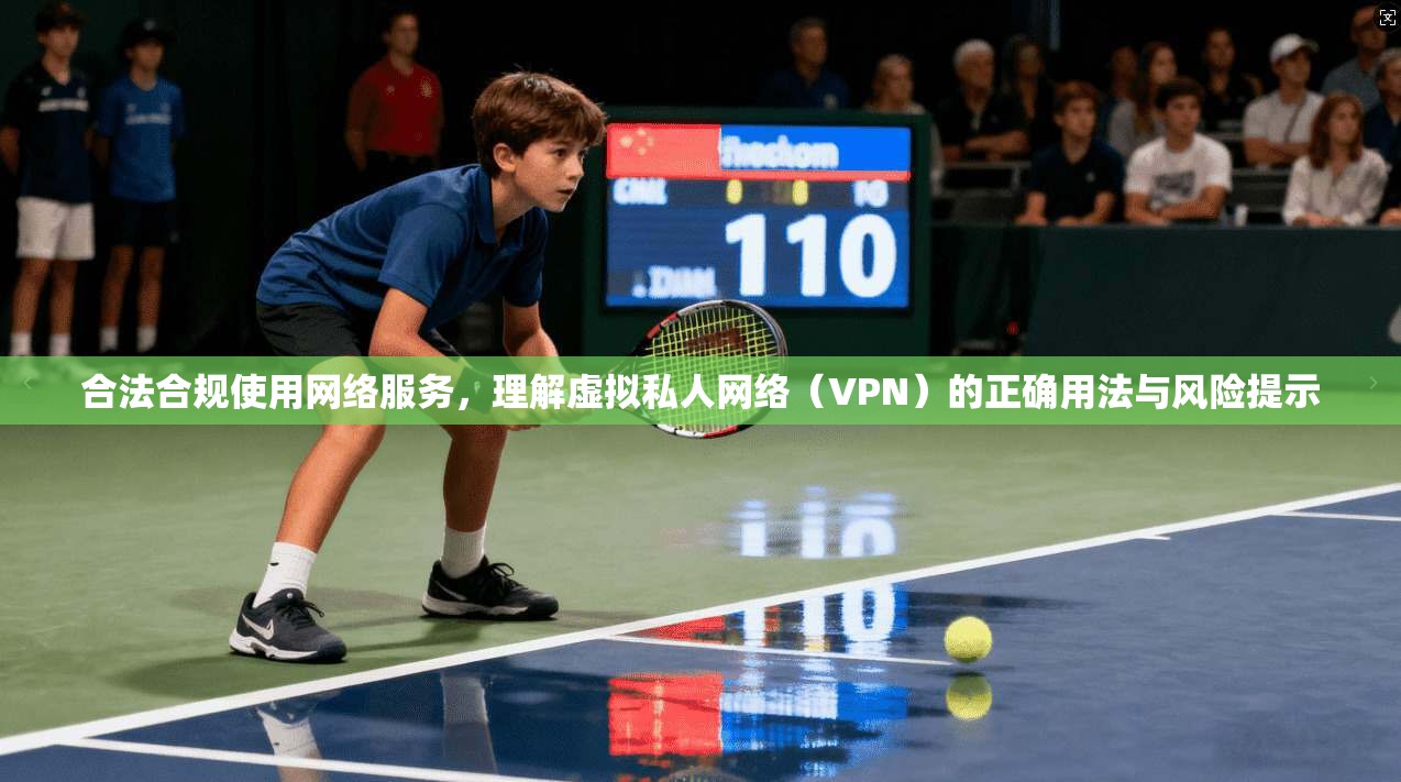 合法合规使用网络服务，理解虚拟私人网络（VPN）的正确用法与风险提示