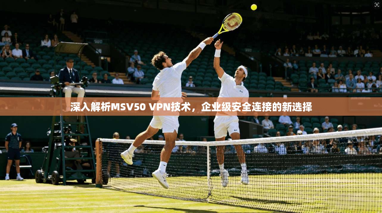 深入解析MSV50 VPN技术，企业级安全连接的新选择