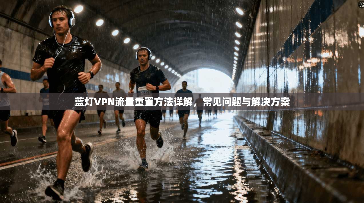 蓝灯VPN流量重置方法详解，常见问题与解决方案