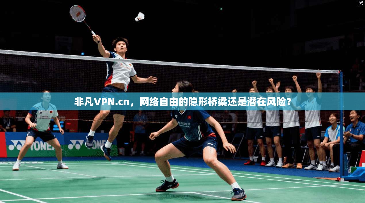 非凡VPN.cn，网络自由的隐形桥梁还是潜在风险？