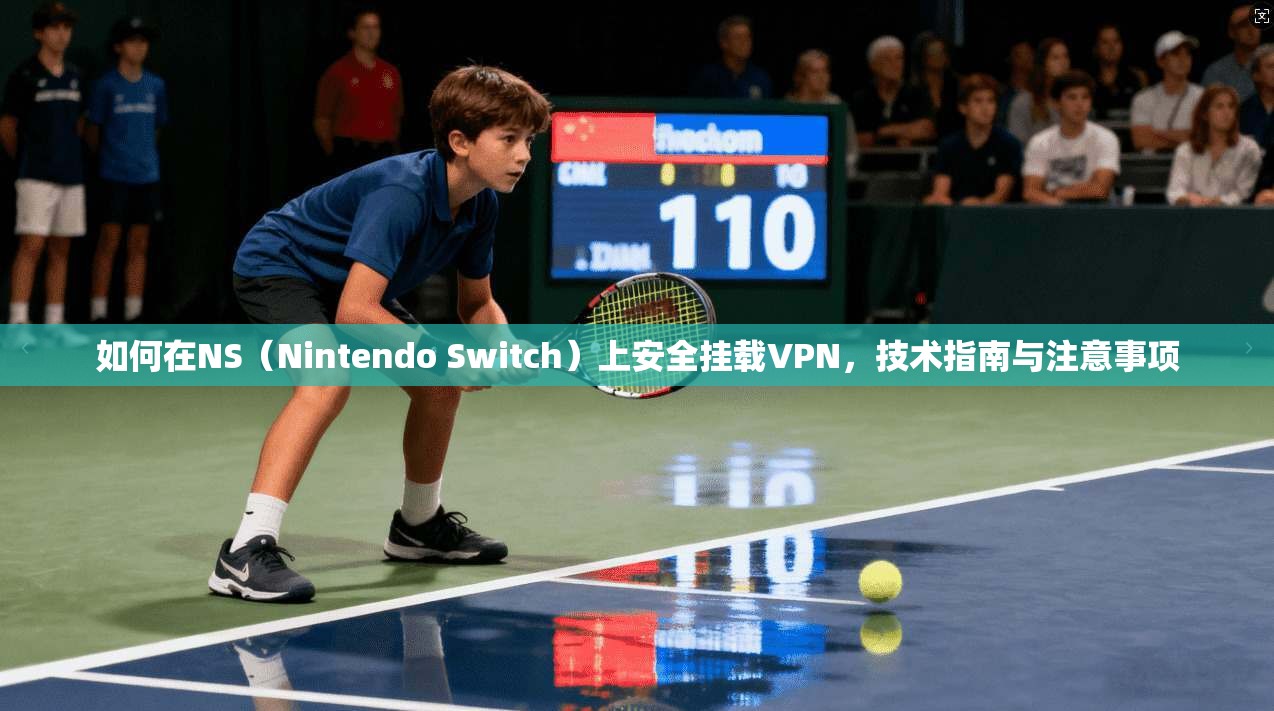 如何在NS（Nintendo Switch）上安全挂载VPN，技术指南与注意事项