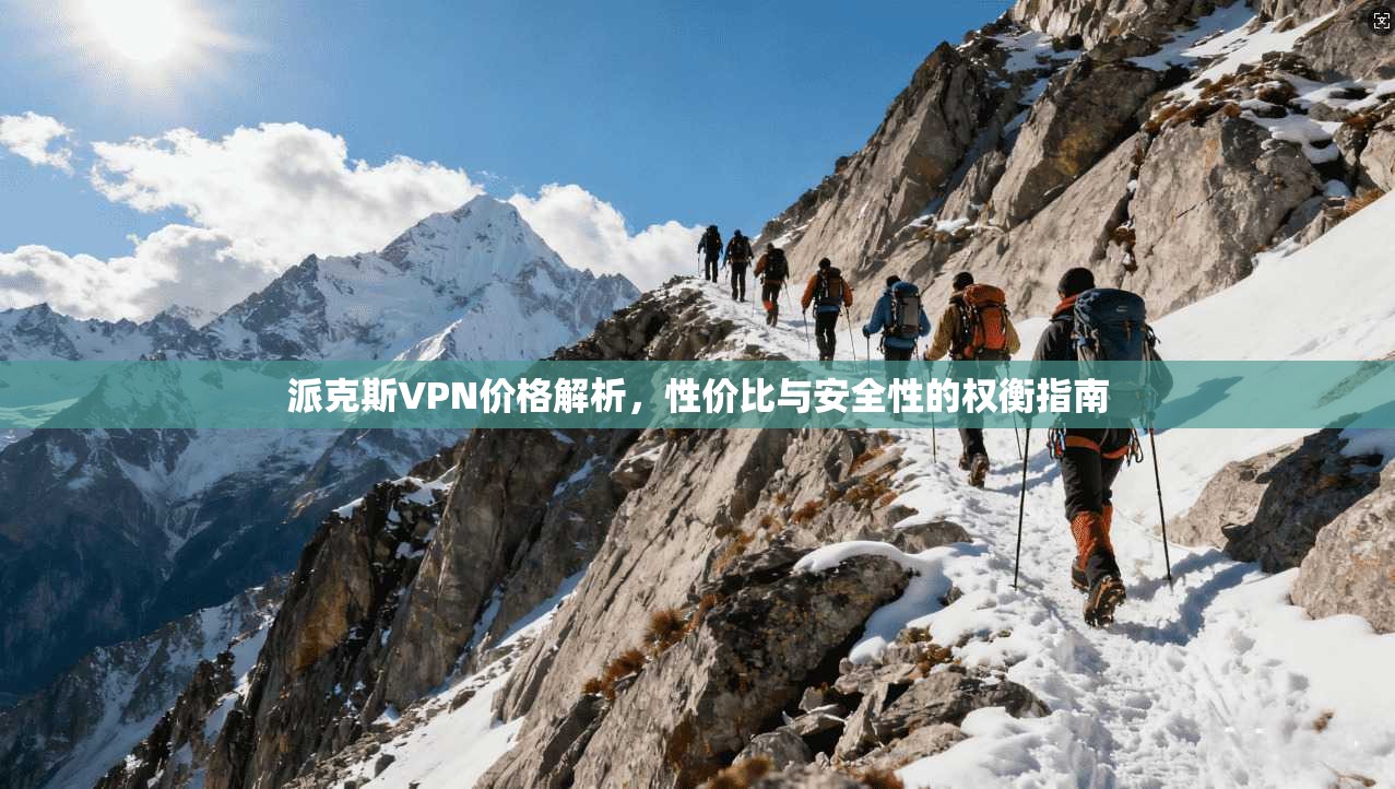 派克斯VPN价格解析，性价比与安全性的权衡指南