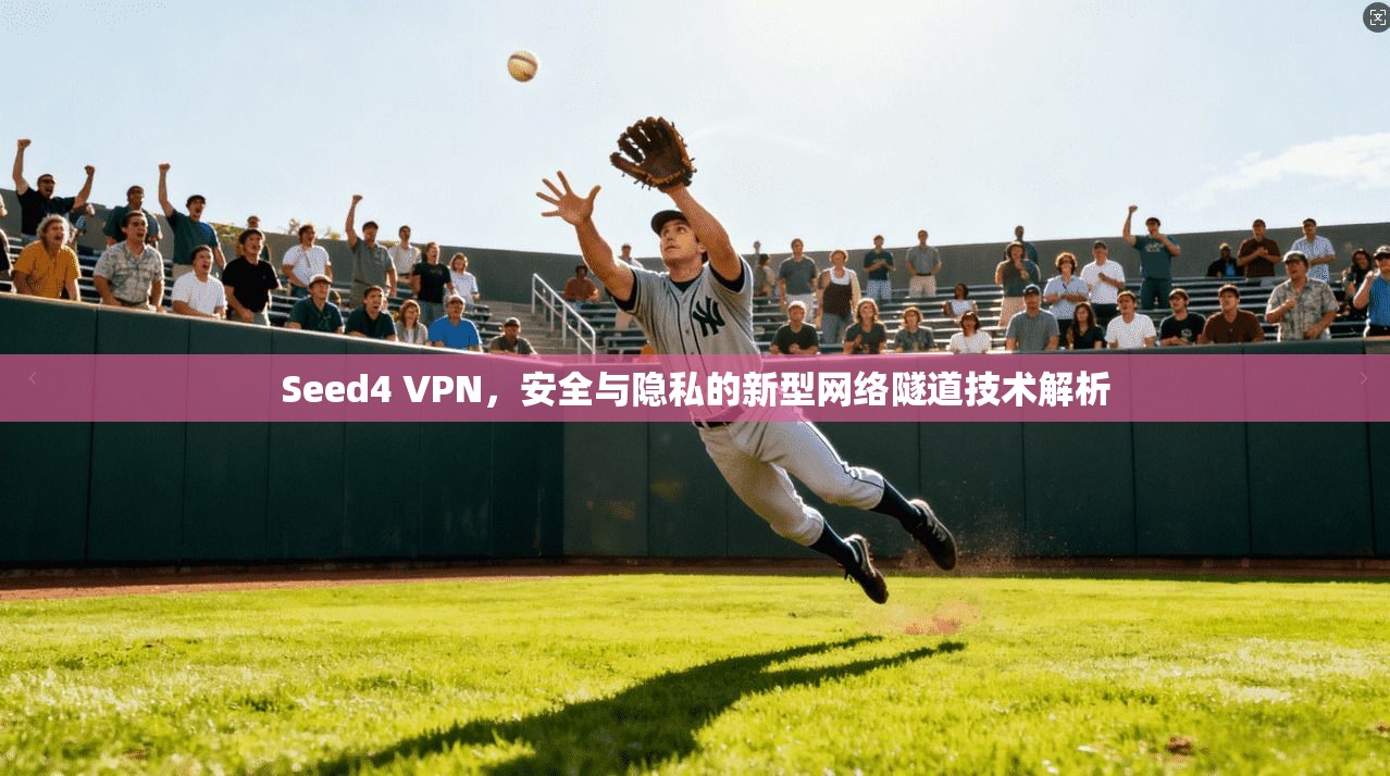 Seed4 VPN，安全与隐私的新型网络隧道技术解析