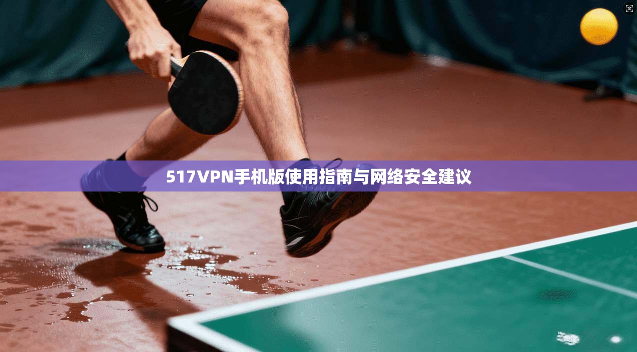 517VPN手机版使用指南与网络安全建议