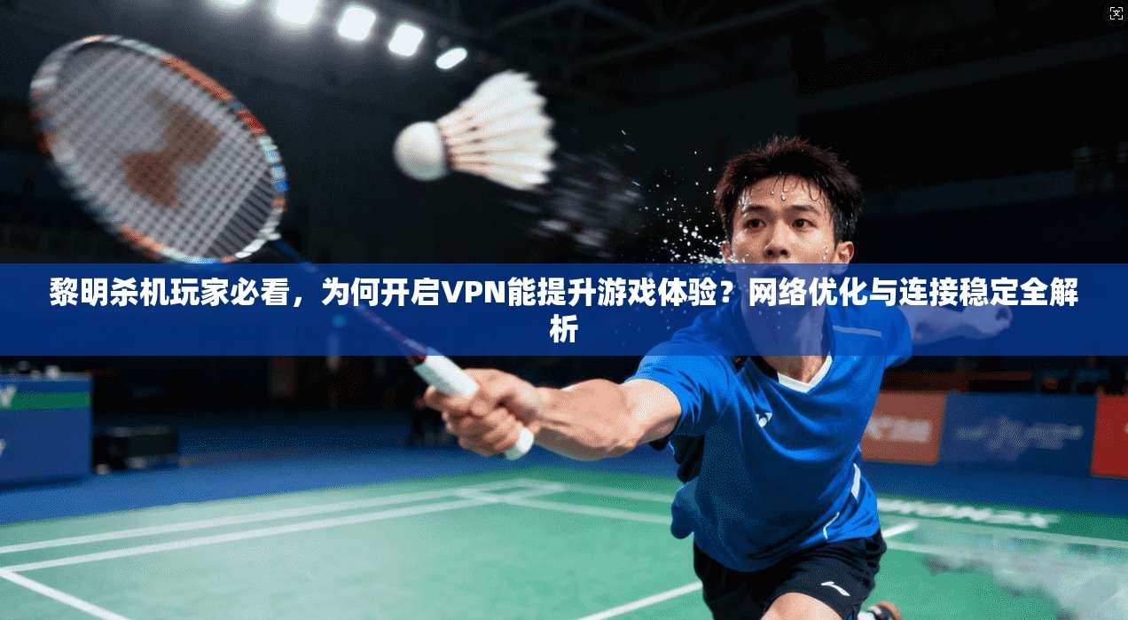 黎明杀机玩家必看，为何开启VPN能提升游戏体验？网络优化与连接稳定全解析