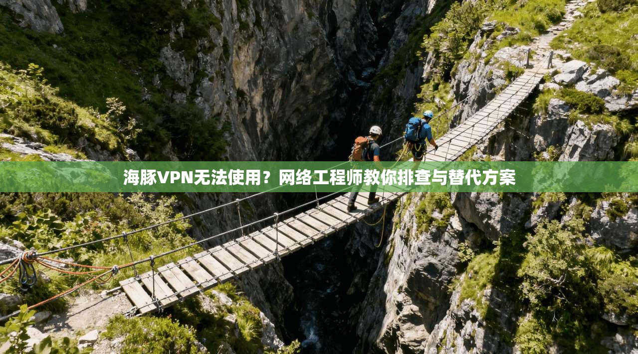海豚VPN无法使用？网络工程师教你排查与替代方案
