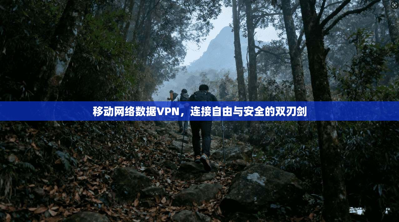移动网络数据VPN，连接自由与安全的双刃剑