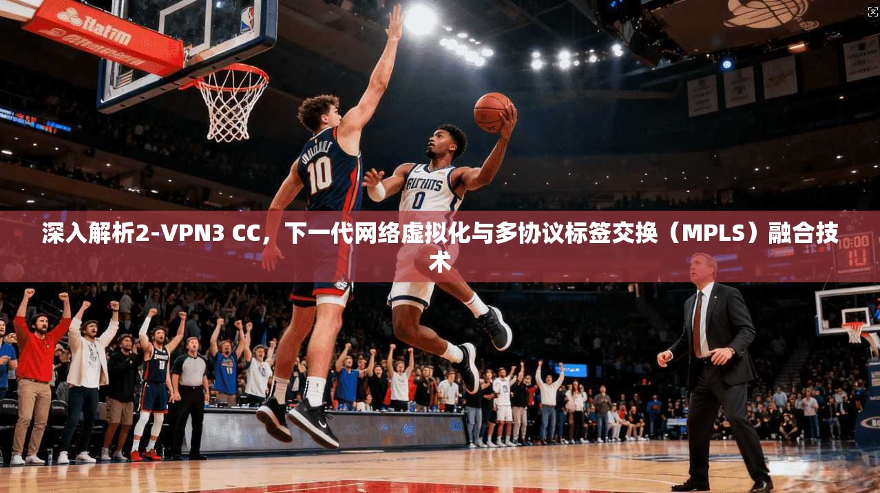 深入解析2-VPN3 CC，下一代网络虚拟化与多协议标签交换（MPLS）融合技术