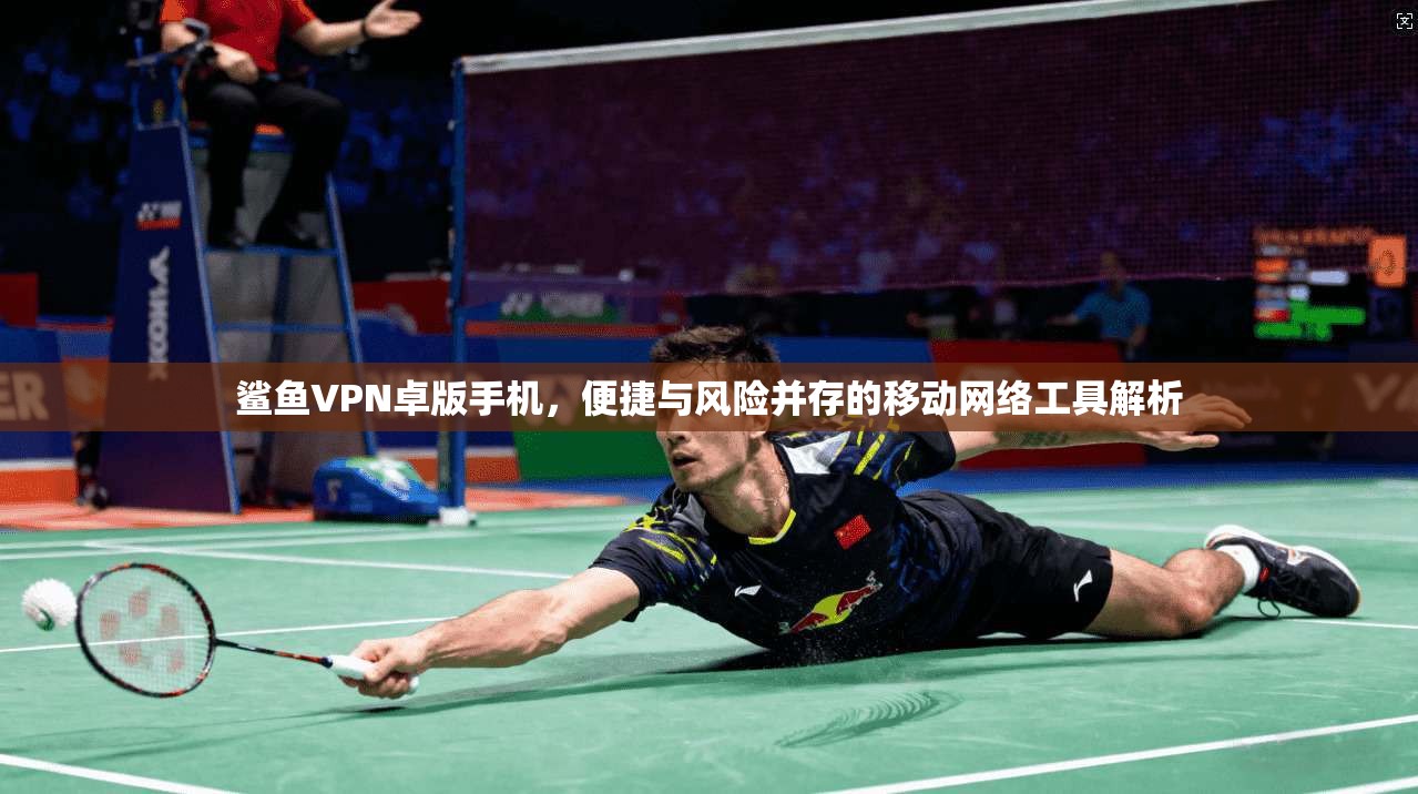 鲨鱼VPN卓版手机，便捷与风险并存的移动网络工具解析