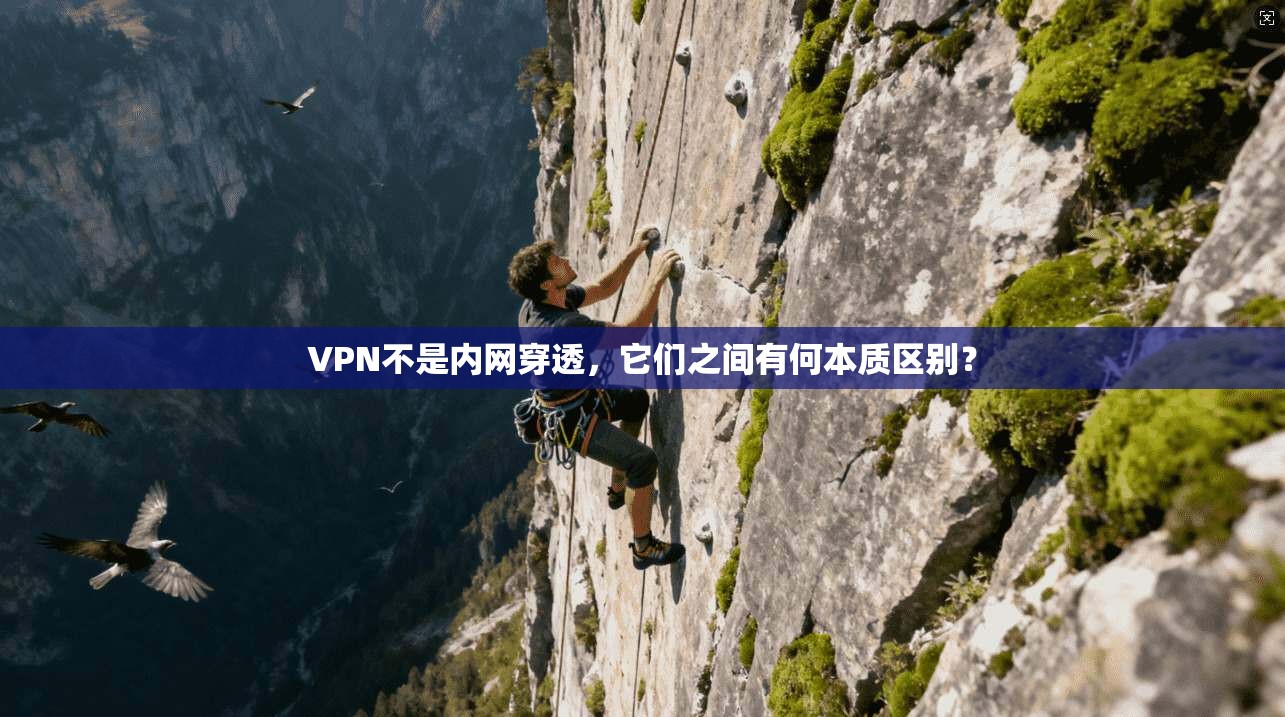 VPN不是内网穿透，它们之间有何本质区别？