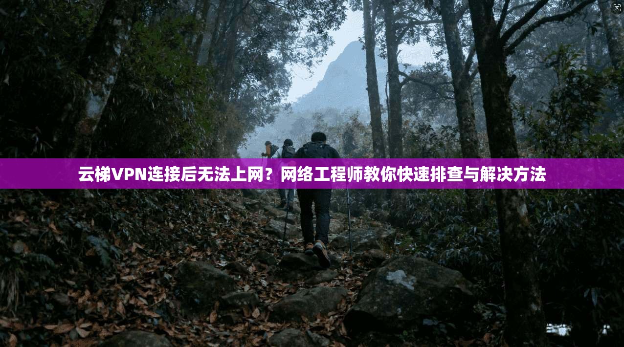 云梯VPN连接后无法上网？网络工程师教你快速排查与解决方法