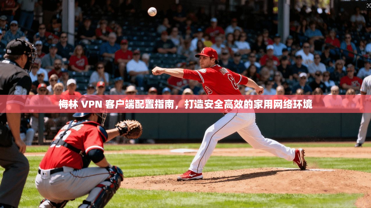 梅林 VPN 客户端配置指南，打造安全高效的家用网络环境