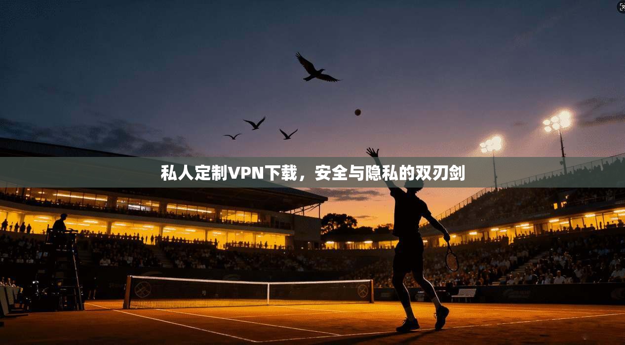 私人定制VPN下载，安全与隐私的双刃剑