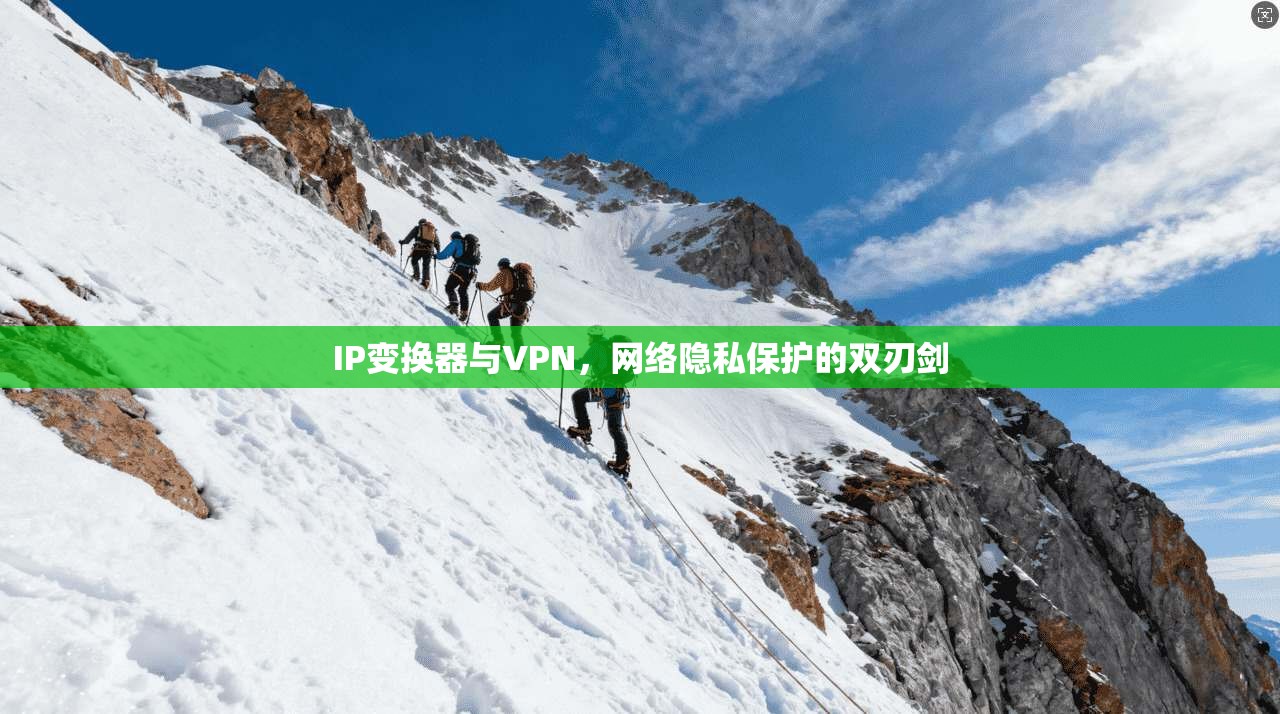 IP变换器与VPN，网络隐私保护的双刃剑
