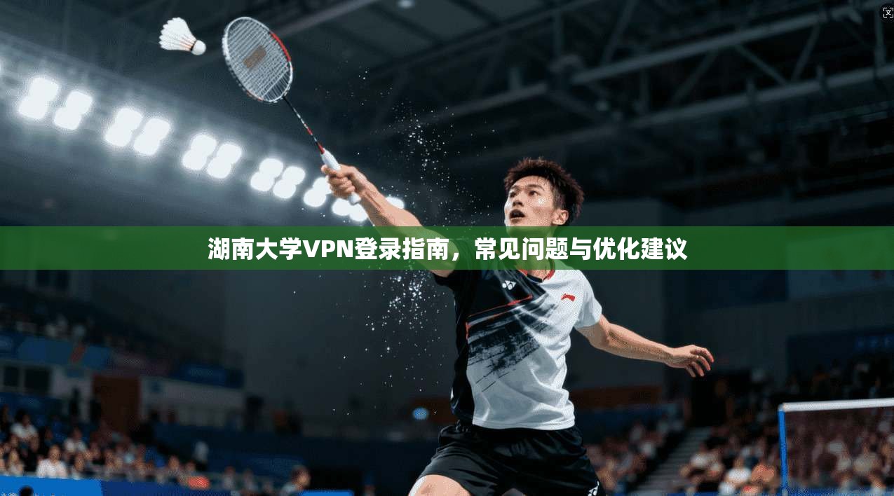 湖南大学VPN登录指南，常见问题与优化建议