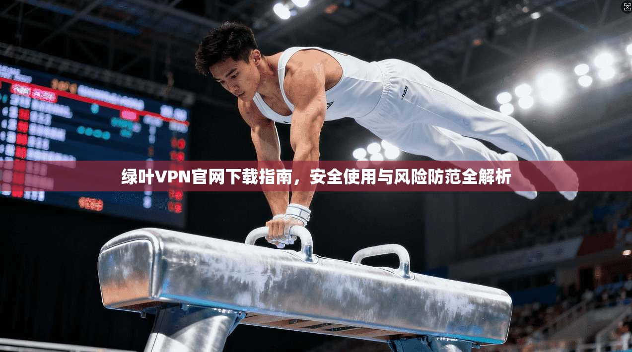 绿叶VPN官网下载指南，安全使用与风险防范全解析