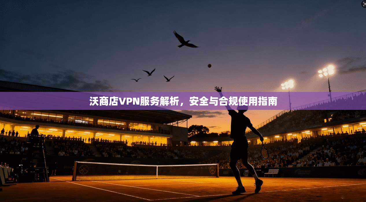 沃商店VPN服务解析，安全与合规使用指南