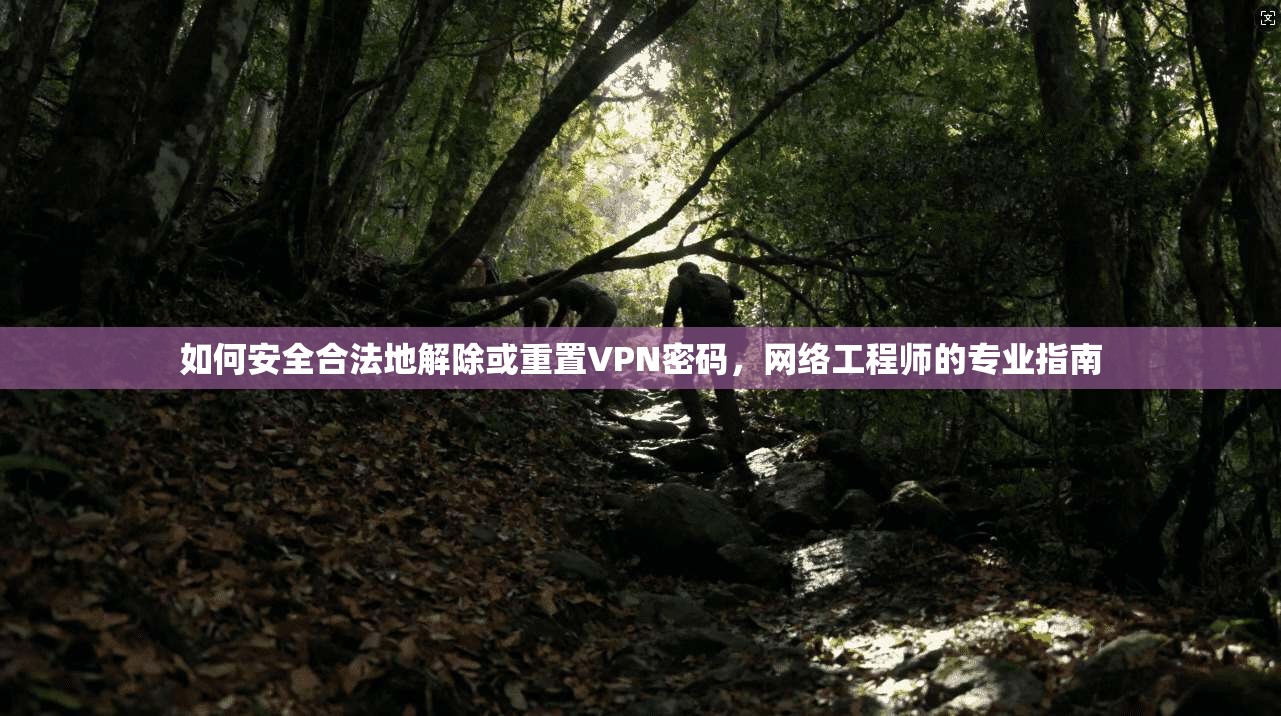 如何安全合法地解除或重置VPN密码，网络工程师的专业指南