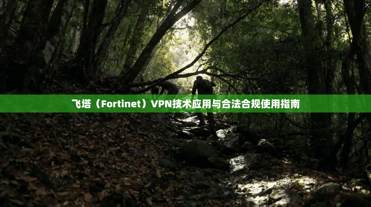 飞塔（Fortinet）VPN技术应用与合法合规使用指南