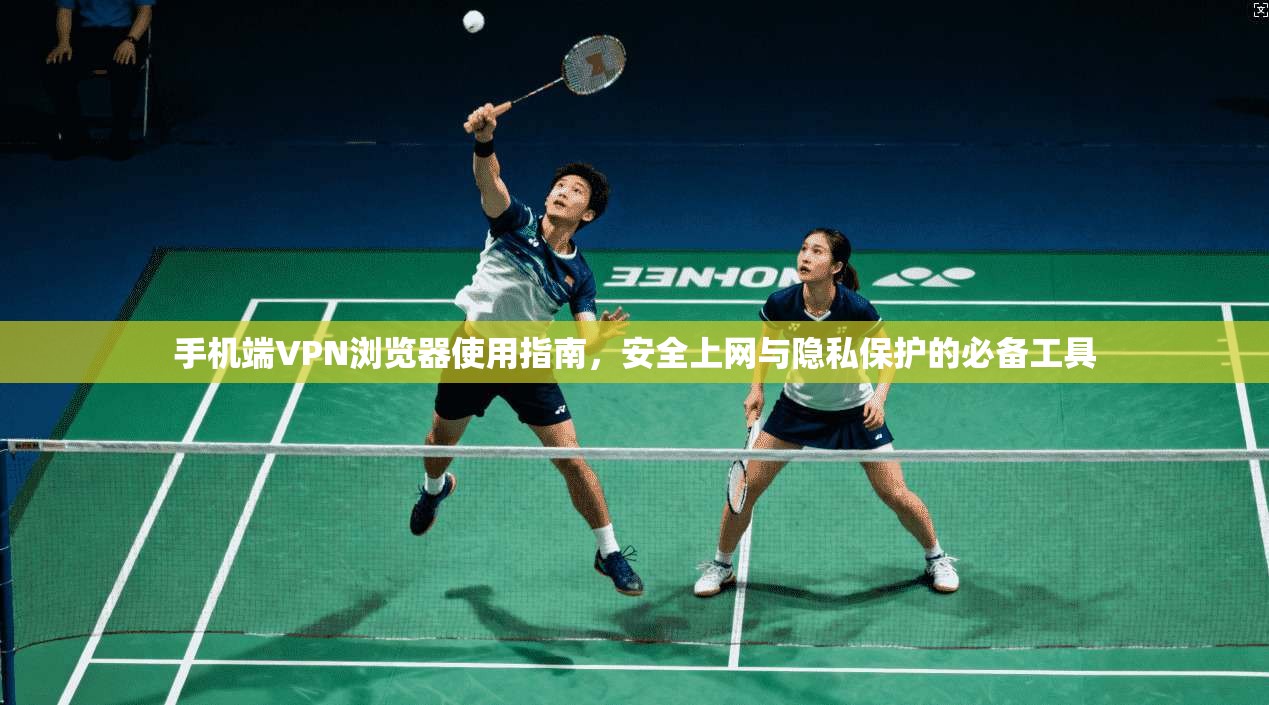 手机端VPN浏览器使用指南，安全上网与隐私保护的必备工具