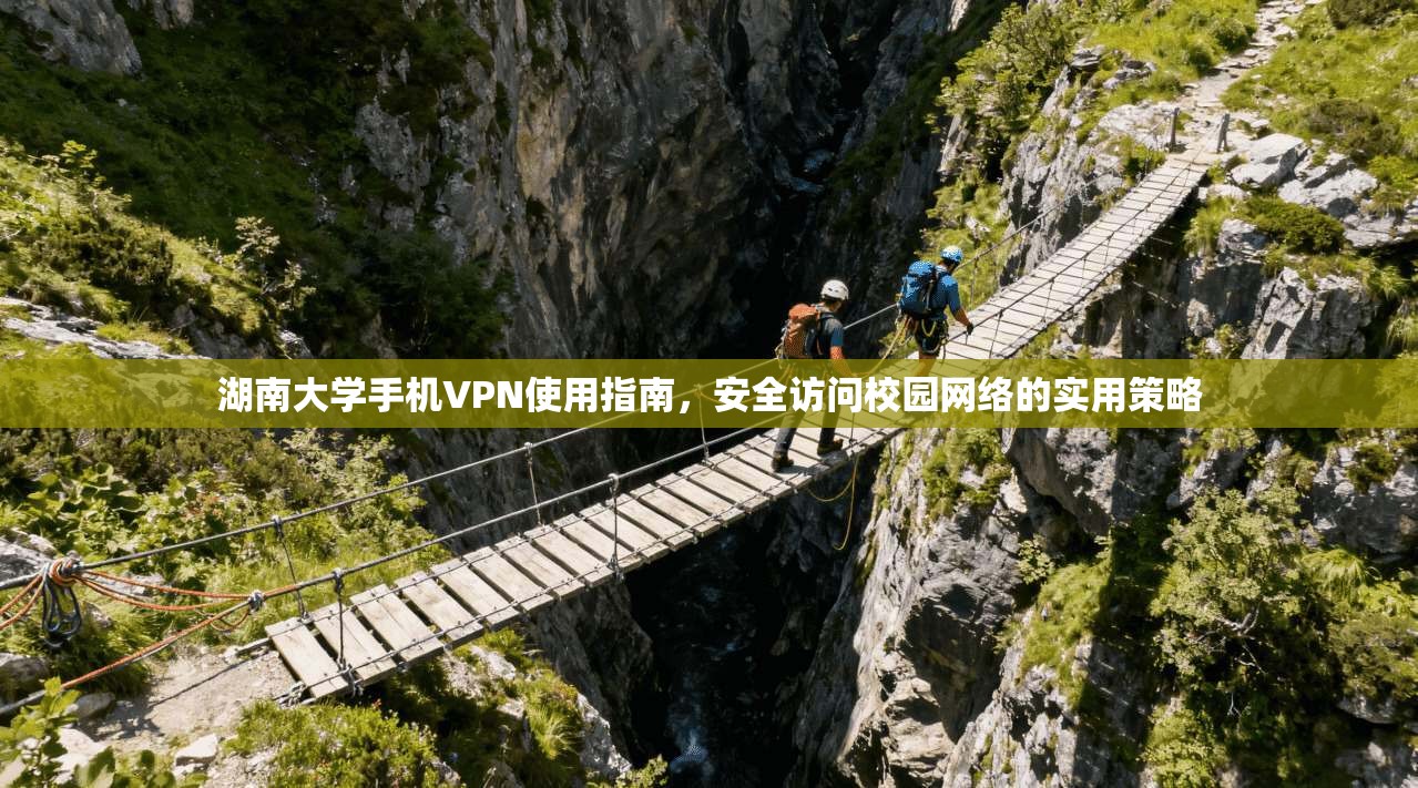 湖南大学手机VPN使用指南，安全访问校园网络的实用策略