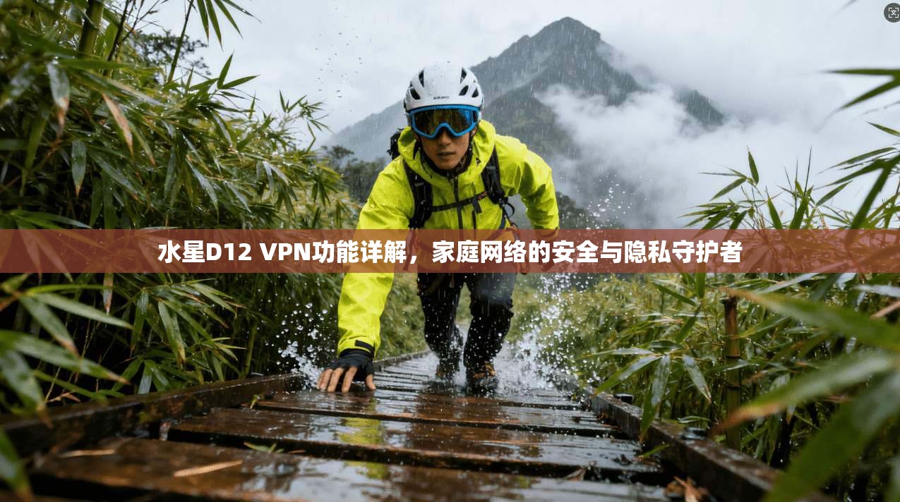 水星D12 VPN功能详解，家庭网络的安全与隐私守护者