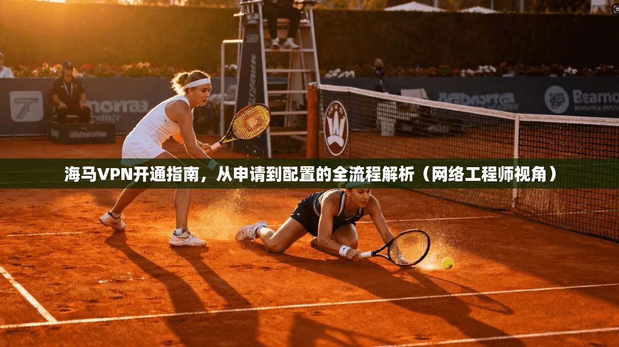 海马VPN开通指南，从申请到配置的全流程解析（网络工程师视角）