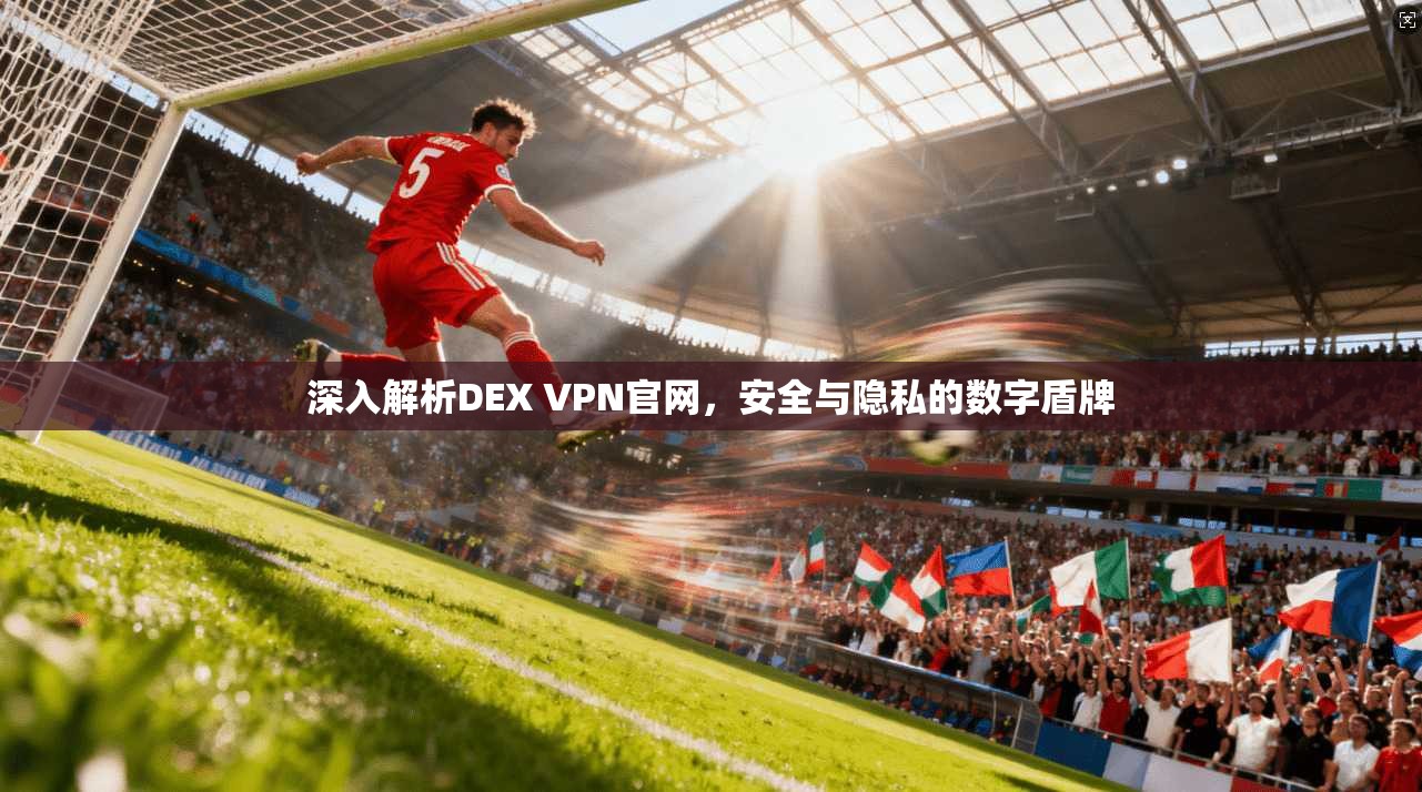 深入解析DEX VPN官网，安全与隐私的数字盾牌