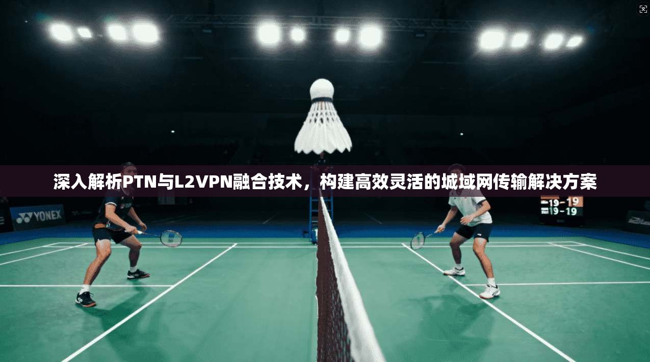 深入解析PTN与L2VPN融合技术，构建高效灵活的城域网传输解决方案