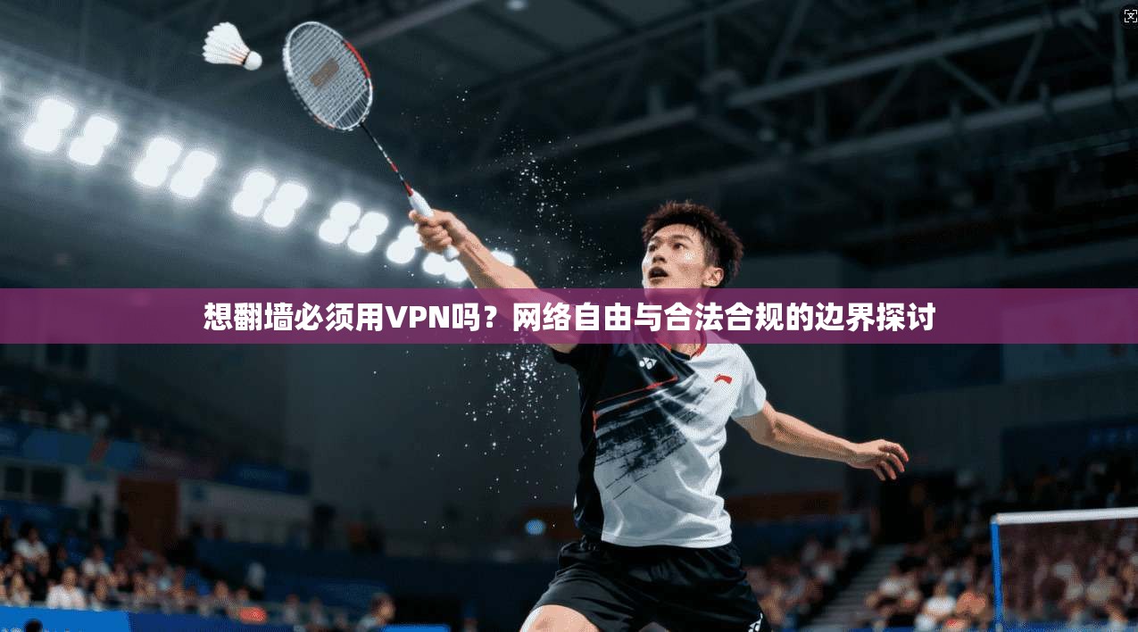 想翻墙必须用VPN吗？网络自由与合法合规的边界探讨