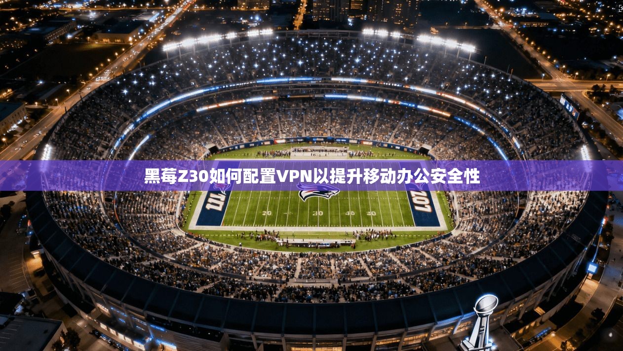 黑莓Z30如何配置VPN以提升移动办公安全性
