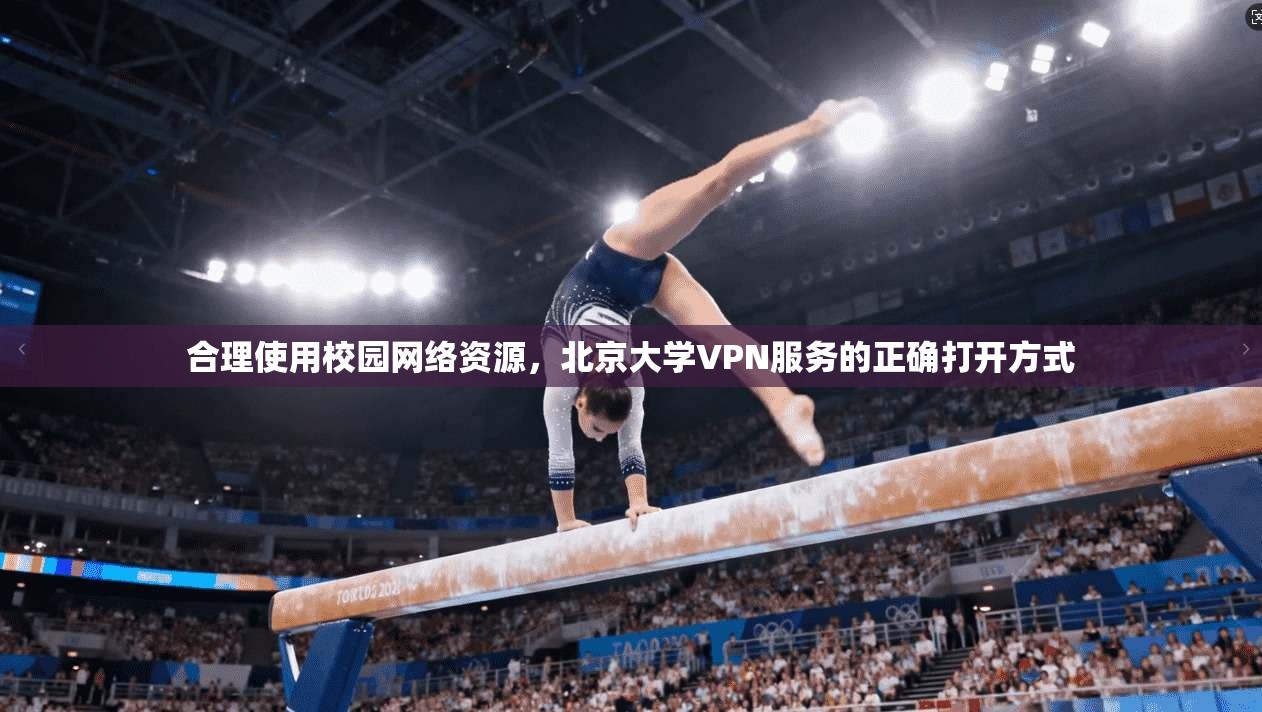合理使用校园网络资源，北京大学VPN服务的正确打开方式