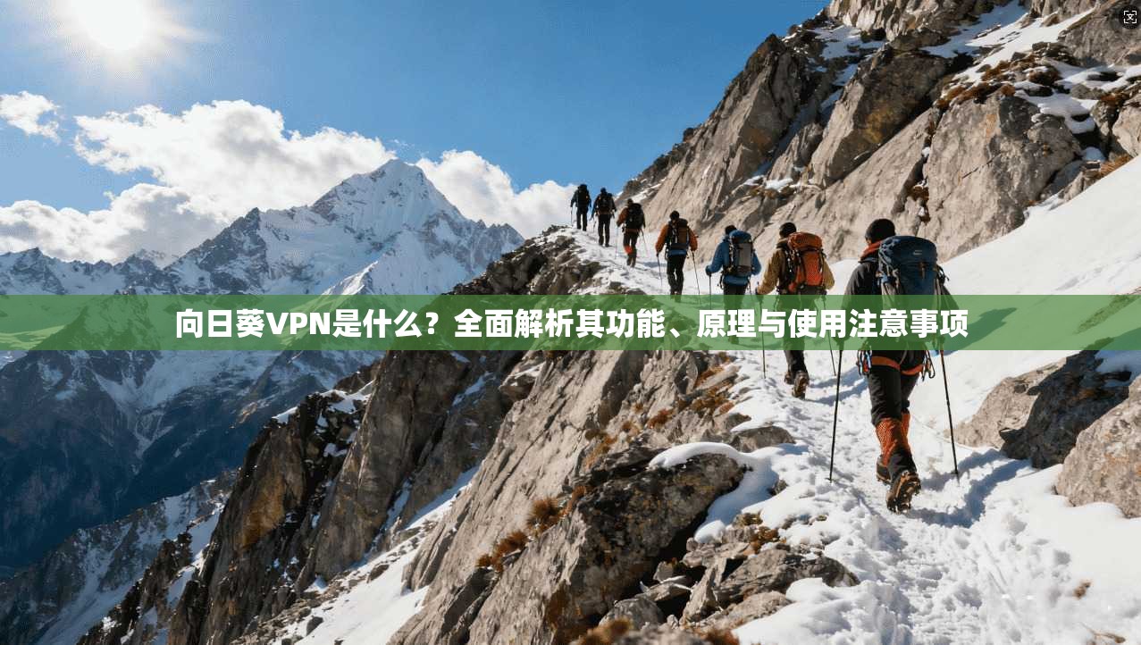 向日葵VPN是什么？全面解析其功能、原理与使用注意事项