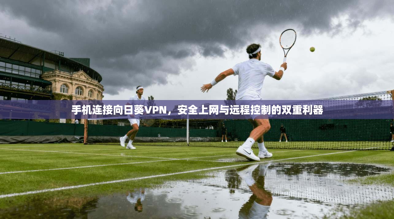 手机连接向日葵VPN，安全上网与远程控制的双重利器