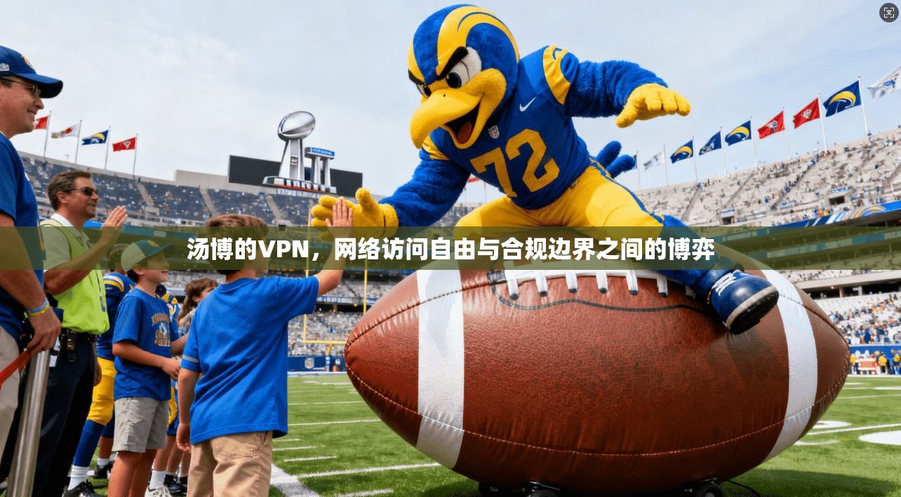 汤博的VPN，网络访问自由与合规边界之间的博弈