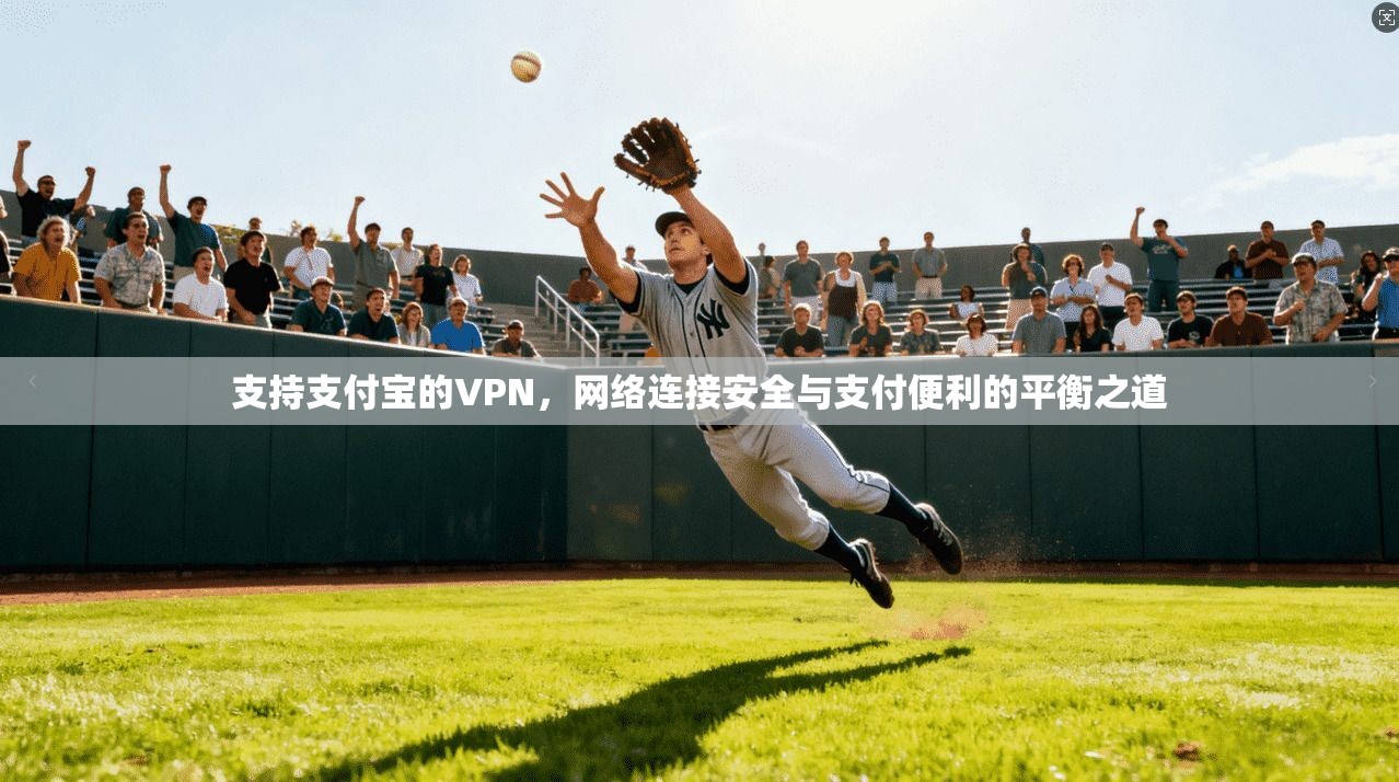支持支付宝的VPN，网络连接安全与支付便利的平衡之道