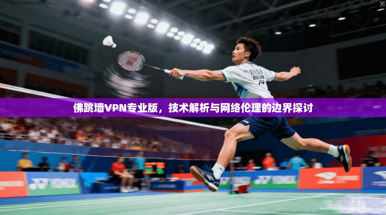 佛跳墙VPN专业版，技术解析与网络伦理的边界探讨