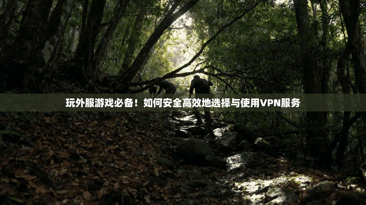 玩外服游戏必备！如何安全高效地选择与使用VPN服务