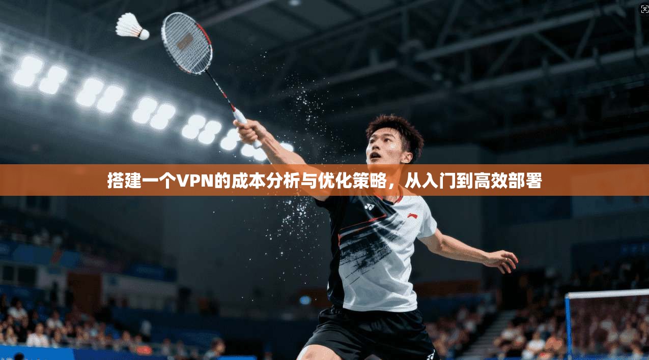 搭建一个VPN的成本分析与优化策略，从入门到高效部署
