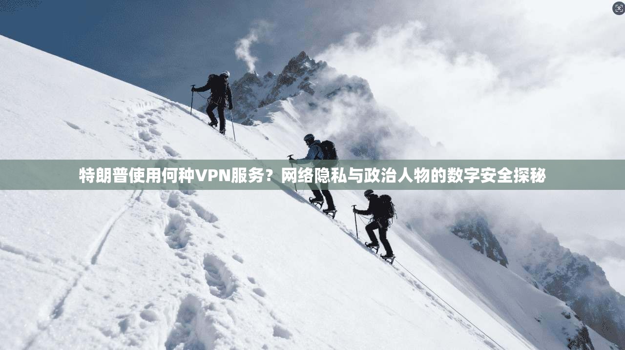特朗普使用何种VPN服务？网络隐私与政治人物的数字安全探秘